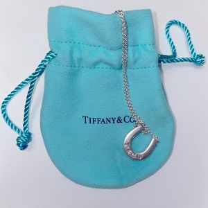 Tiffany & Co. Horseshoe Necklace
